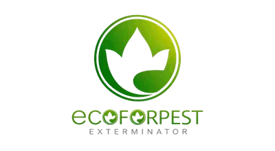 PT ECODIW JAYA ABADI