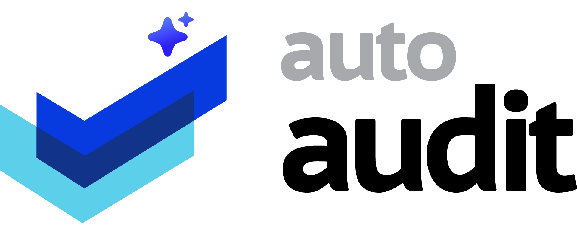 Auto Audit